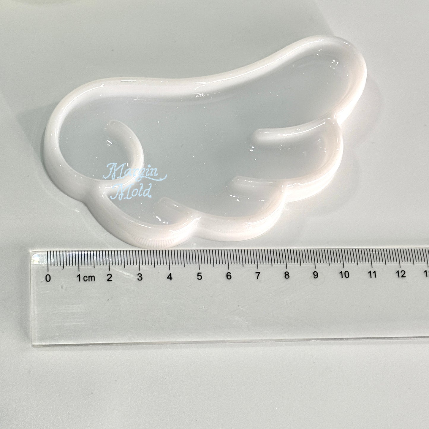 t006 tray mold angel wing tray, acrylic, shiny