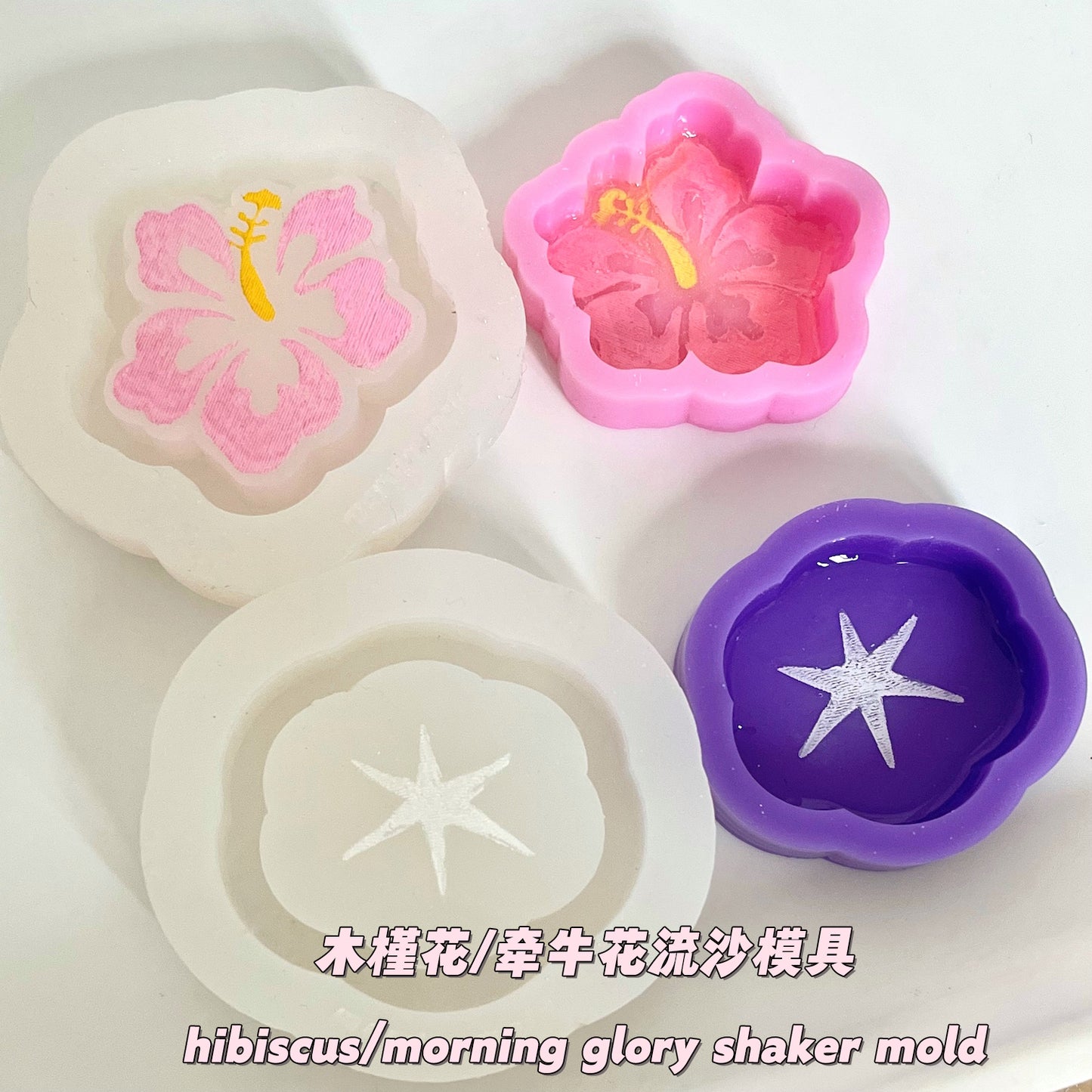 SK091 SK092 hibiscus/morning glory shaker mold, backed, acrylic, shiny