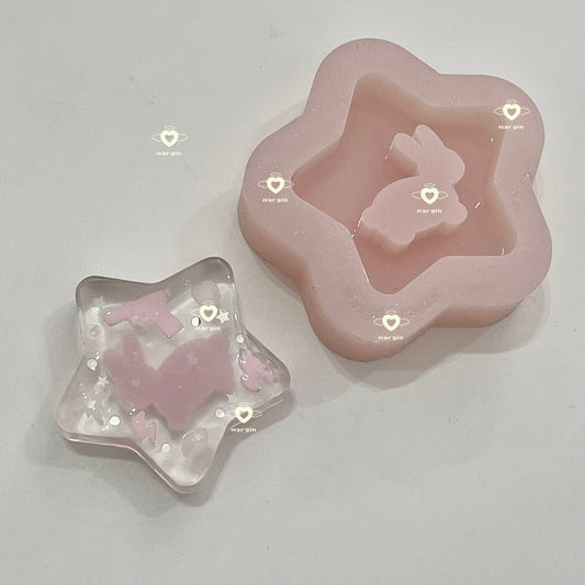 SK202 bunny star shaker mold, backed, acrylic, shiny